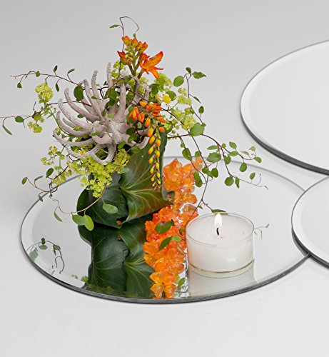 Sandra Rich Glasplatte Spiegelplatte Mirror 6 Stück rund 0,5 cm Ø 25 cm von Sandra Rich