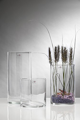 Sandra Rich 360092 Glasvase, Glas, transparent, 19 x 19 x 20 cm Sandra Rich 360092 Glasvase, Glas, transparent, 19 x 19 x 20 cm von Sandra Rich
