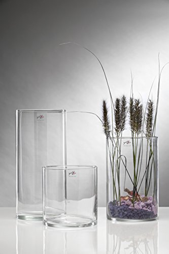 Sandra Rich Glasvase, Glas, transparent, 19 x 19 x 20 cm von Sandra Rich