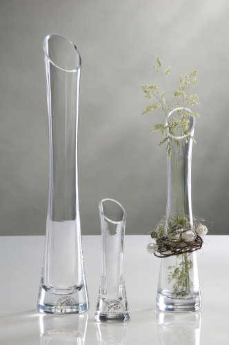 Sandra Rich Glasvasen 4,5 x 35 cm Höhe e.6/c.18 Sandra Rich Glasvasen 4,5 x 35 cm Höhe e.6/c.18 von Sandra Rich