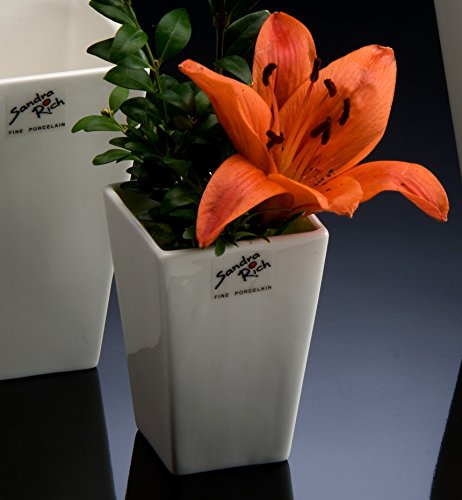 Sandra Rich Porzellanblumentopf Square weiß eckig 9 cm hoch Ø 6,0 x 6,0 cm Sandra Rich Porzellanblumentopf Square weiß eckig 9 cm hoch Ø 6,0 x 6,0 cm von Sandra Rich