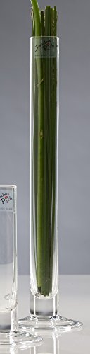 Sandra Rich Solifleur Glasvase, zylindrisch, Durchmesser 3 cm, hergestellt im Heißschneideverfahren 5 unidades Sandra Rich Solifleur Glasvase, zylindrisch, Durchmesser 3 cm, hergestellt im Heißschneideverfahren 5 unidades von Sandra Rich