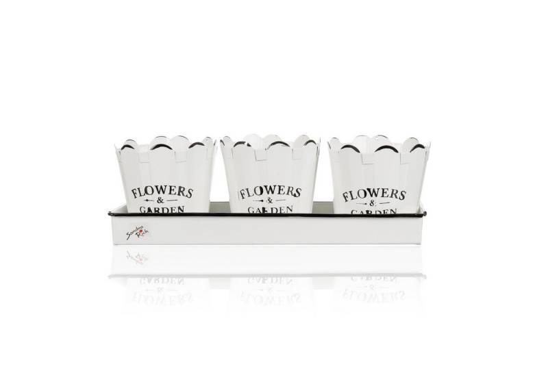 Sandra Rich Übertopf FLOWERS & GARDEN Set aus 3 Übertöpfen und einer Schale aus Metall von Sandra Rich