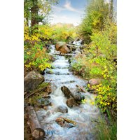 Gebirgsbach Fotodruck, Rocky Mountain Nationalpark Herbst Espen Colorado Vertikale Landschaft Leinwand Wandkunst, Waldszene Wohnkultur von SandyDobbsPhoto