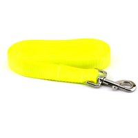 Hundeleine Aus Gurtband - Solides Neongelb ~ Massivem Nylongewebe Silberfarbene Metallbeschläge Sandy Paws Collar Co Hundeleine Aus Gurtband - Solides Neongelb ~ Massivem Nylongewebe Silberfarbene Metallbeschläge Sandy Paws Collar Co von SandyPawsCollarCo