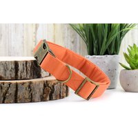 Solides Herbstoranges Hundehalsband ~ Mode-Hundehalsband Stoff-Hundehalsband Antik-Bronze-Metallteile Sandy Paws Collar Co von SandyPawsCollarCo