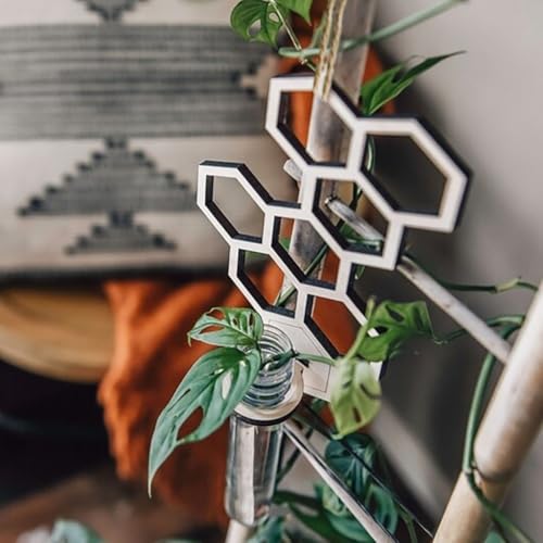Creative For Honeycomb Reagenzglas Wandmontierter dekorativer Blumentopf mit Hohlmuster, aus Holz und Kunststoff, geeignet für verschiedene Innenumgebungen von Sandyseptember