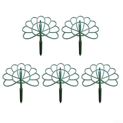 Pfauen-Blumenständer, 5-teiliges Set mit dekorativem Vogelrahmen mit strukturierten Bögen für zuverlässige Pflanzenunterstützung und Aufrechterhaltung eines aufrechten Wachstums der Blumen von Sandyseptember