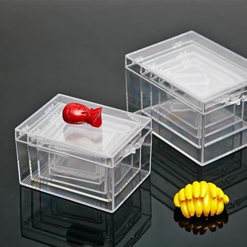 ReFor Aufbewahrungsbox für Schmuck- und Probenorganisation (E) von Sandyseptember