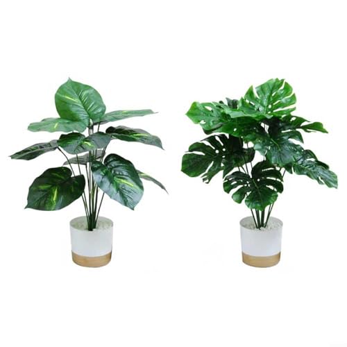 Sandyseptember Künstliche tropische Pflanzen, Set mit weißen Töpfen, 45 cm hoch, mit Friedenslilie und Monstera, für den Innenbereich, Zuhause oder Büro, Schreibtisch-Dekoration, 2 Stück Sandyseptember Künstliche tropische Pflanzen, Set mit weißen Töpfen, 45 cm hoch, mit Friedenslilie und Monstera, für den Innenbereich, Zuhause oder Büro, Schreibtisch-Dekoration, 2 Stück von Sandyseptember