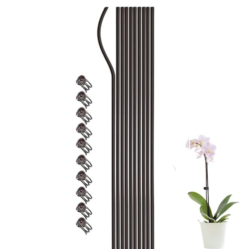 Pflanzenstütze mit Clips, 10 Packungen grüne Gartenstöcke, 19, 7 Zoll Metalldrahtstangen für Orchideen, Tomaten und Kletterblumen Pflanzenstütze mit Clips, 10 Packungen grüne Gartenstöcke, 19, 7 Zoll Metalldrahtstangen für Orchideen, Tomaten und Kletterblumen von Sanfiyya