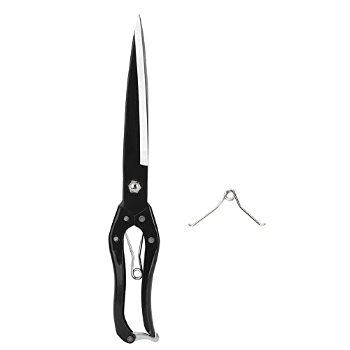Für alle Zwecke für die Verlängerung für Handschere für Schaf/Ziege//Kaninchen -Haustier für geschnittene Haare/Wolle (Schwarze Edelstahl -Wollschere) von Sangeponiang