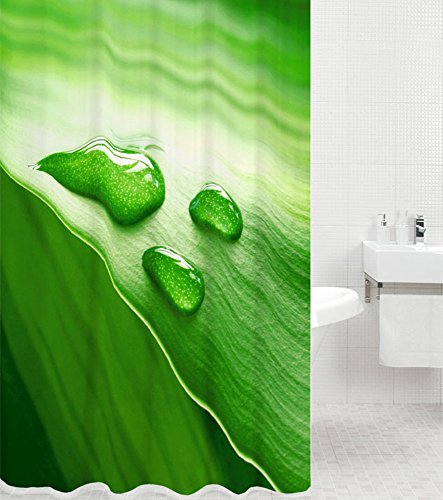 Sanilo Duschvorhang Green Leaf 180 x 180 cm, hochwertige Qualität, 100% Polyester, wasserdicht, Anti-Schimmel-Effekt, inkl. 12 Duschvorhangringe von Sanilo
