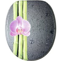 Sanilo WC-Sitz, BxL: 37,7 x 47 cm, Asia - grau Sanilo WC-Sitz, BxL: 37,7 x 47 cm, Asia - grau von Sanilo