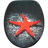 Sanilo WC-Sitz, BxL: 37,7 x 47 cm, Deep Sea - schwarz von Sanilo