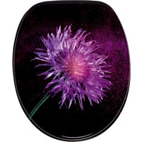 Sanilo WC-Sitz "Purple Dust" mit Absenkautomatik Sanilo WC-Sitz "Purple Dust" mit Absenkautomatik von Sanilo