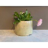 Übertopf Pott Für Kleine Pflanzen Im Topf Planter Klein Mini Grün Stempeldekor Geschenk Vase Untsilo Gefäß Dicht Vielseitig Primel Kräuter von SanneKeramik
