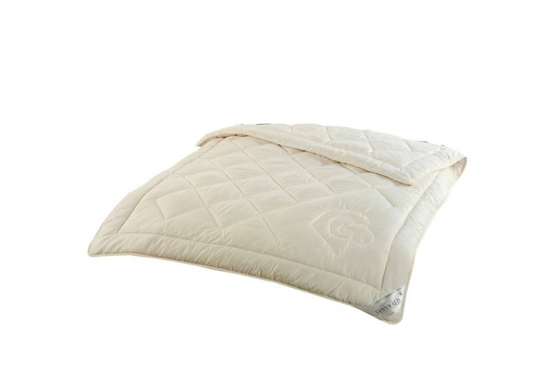 Sannwald Daunenbettdecke Sannwald Winterdecke Derby Duo Steppbett Größe 135x200 cm Sannwald Daunenbettdecke Sannwald Winterdecke Derby Duo Steppbett Größe 135x200 cm von Sannwald