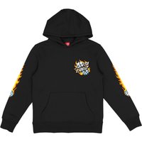 Santa Cruz Kapuzensweatshirt "YOUTH FLAMING DICE DOT HOOD" von Santa Cruz