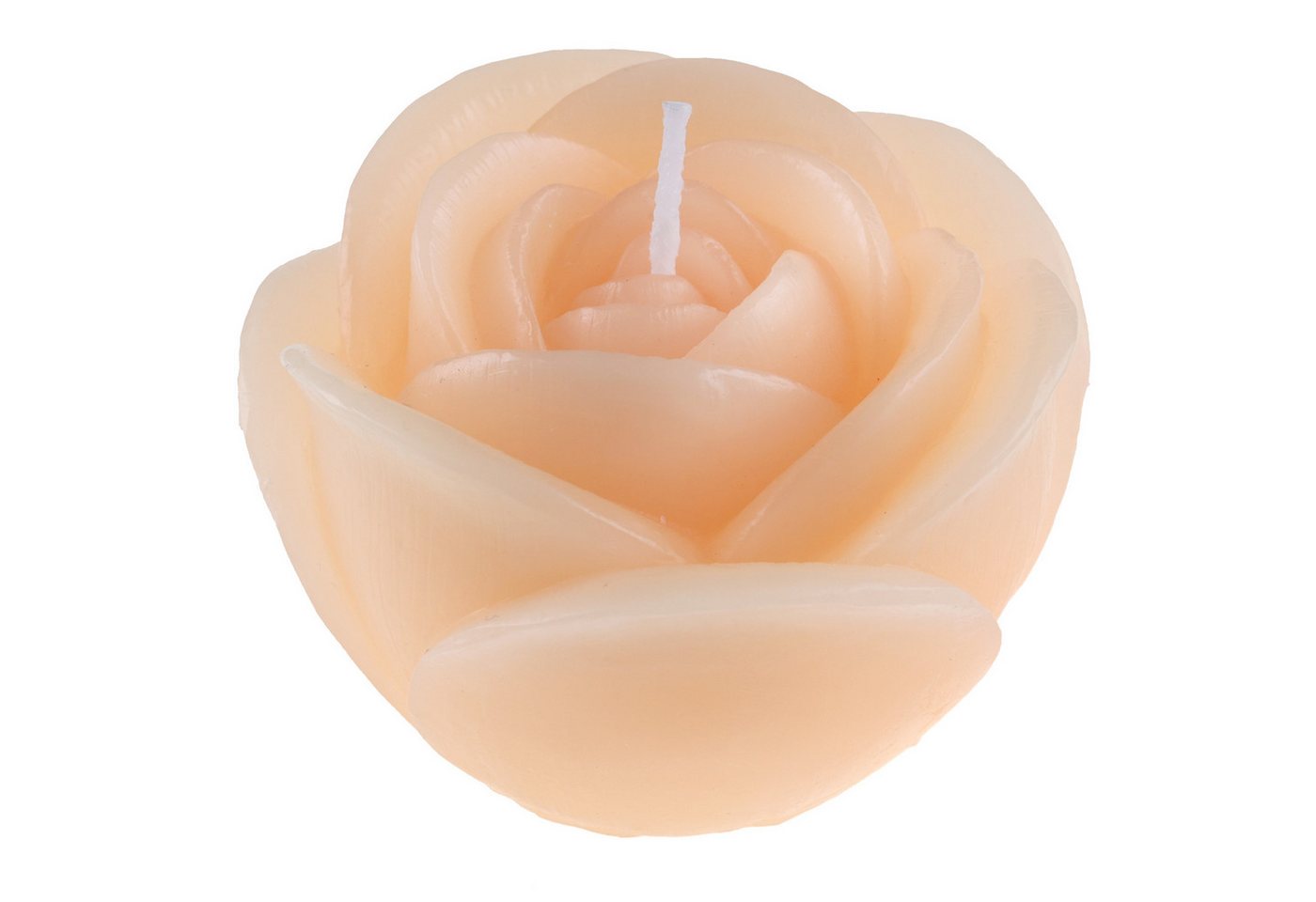 Santex Formkerze Kerze in Rosenform, Ø7cm x 4,5cm. Rosenkerze, Geschenk Santex Formkerze Kerze in Rosenform, Ø7cm x 4,5cm. Rosenkerze, Geschenk von Santex