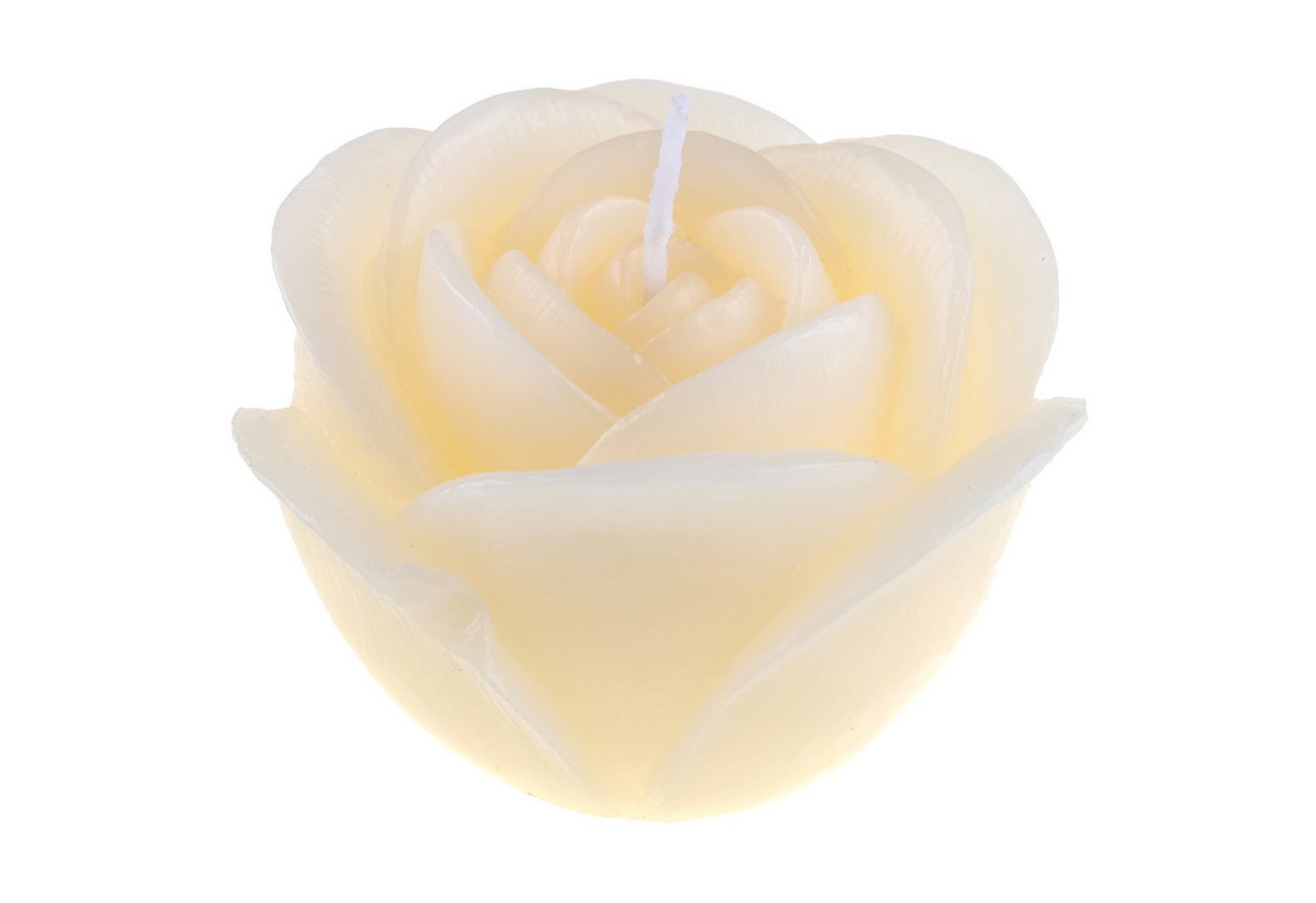 Santex Formkerze Kerze in Rosenform, Ø7cm x 4,5cm. Rosenkerze, Geschenk Santex Formkerze Kerze in Rosenform, Ø7cm x 4,5cm. Rosenkerze, Geschenk von Santex