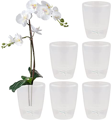 Santino 6er-Set Orchideentopf D 12cm Selbstbewässernder Topf mit Dochtsystem und Wasserstandsanzeige für den Innenbereich - Transparent - 1,3L von Santino