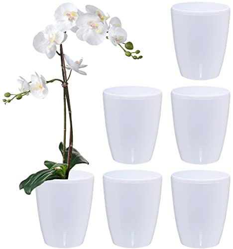 Santino 6er-Set Selbstbewässernder Topf mit Dochtsystem und Wasserstandsanzeige für den Innenbereich, Orchideentopf D 12cm (White, 1,3L) von Santino