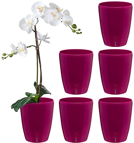 Santino 6er-Set Selbstbewässernder Topf mit Dochtsystem und Wasserstandsanzeige für den Innenbereich, Orchideentopf D 15cm. (Purple - 2L) von Santino