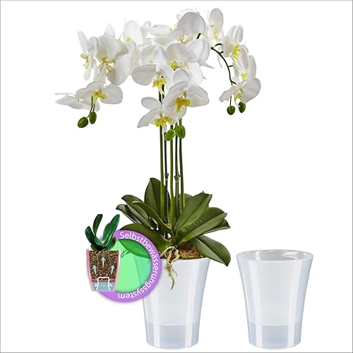 Santino 2er-Set Orchideentopf transparent mit selbstbewässerndem Dochtsystem - D 15 cm - Transparent - 2 L von Santino