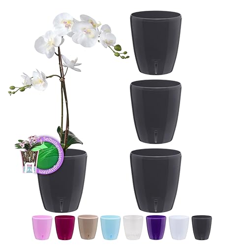 Santino 4er-Set Selbstbewässernder Topf mit Dochtsystem und Wasserstandsanzeige für den Innenbereich, Orchideentopf D 16.5cm (Anthracite - 3,3L) von Santino