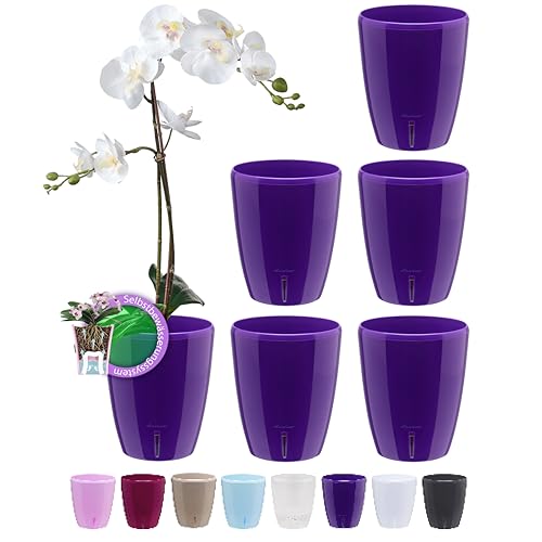 Santino 6er-Set Orchideentopf D 15cm. Selbstbewässernder Topf mit Dochtsystem und Wasserstandsanzeige für den Innenbereich (Violet - 2L) von Santino