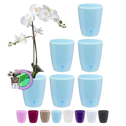 Santino 6er-Set Selbstbewässernder Topf mit Dochtsystem und Wasserstandsanzeige für den Innenbereich, Orchideentopf D 15cm (Blue - 2L) von Santino