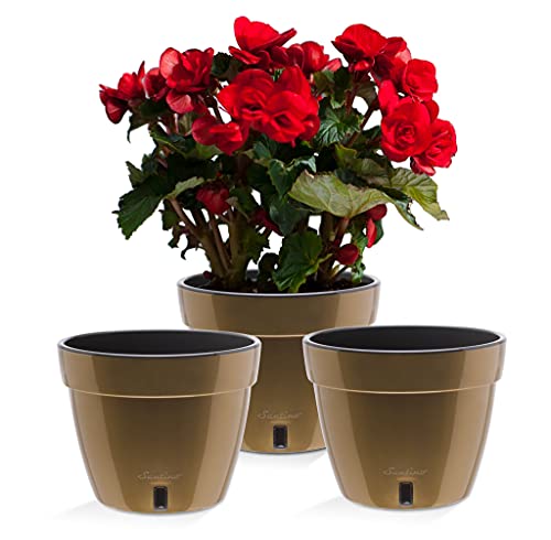 Santino ASTI 3er Set 18CM Selbstwässernder Blumentopf mit Wasserstandsanzeiger - Rund Premium Qualität Innen Blumentopf für Anlagen, Blumen, Kräuter (Ø 18 cm, H 14 cm, 2,5L - Gold/Black) von Santino