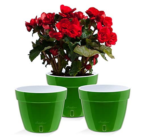 Santino ASTI 3er Set 18CM Selbstwässernder Blumentopf mit Wasserstandsanzeiger - Rund Premium Qualität Innen Blumentopf für Anlagen, Blumen, Kräuter (Ø 18 cm, H 14 cm, 2,5L - Green-Gold/White) von Santino