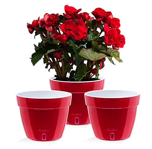 Santino ASTI 3er Set 18CM Selbstwässernder Blumentopf mit Wasserstandsanzeiger - Rund Premium Qualität Innen Blumentopf für Anlagen, Blumen, Kräuter (Ø 18 cm, H 14 cm, 2,5L - RED-Pearl/White) von Santino