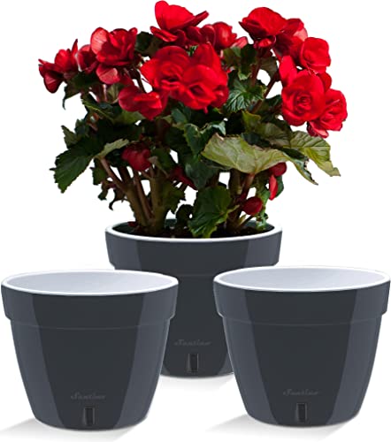 Santino ASTI 3er Set 18CM Selbstwässernder Blumentopf mit Wasserstandsanzeiger für Anlagen, Blumen, Kräuter (Ø 18 cm, H 14 cm, 2,5L - Anthracite/White) von Santino