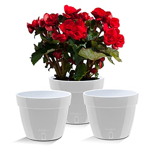 Santino ASTI 3er Set 23CM Selbstwässernder Blumentopf mit Wasserstandsanzeiger - Rund Premium Qualität Innen Blumentopf für Anlagen, Blumen, Kräuter (Ø 23,5 cm, H 18 cm, 6L - Grey/White) von Santino