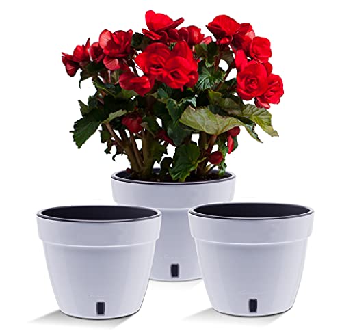 Santino ASTI 3er Set 23CM Selbstwässernder Blumentopf mit Wasserstandsanzeiger - Rund Premium Qualität Innen Blumentopf für Anlagen, Blumen, Kräuter (Ø 23,5 cm, H 18 cm, 6L - White/Black) von Santino