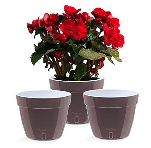 Santino ASTI 3er Set 23CM Selbstwässernder Blumentopf mit Wasserstandsanzeiger - Rund Premium Qualität Innen Blumentopf für Anlagen, Blumen, Kräuter (ØØ 23,5 cm, H 18 cm, 6L - Shade/White) von Santino