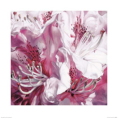 Sarah Caswell Kunstdrucke, Papier, Mehrfarbig, 60 x 60 cm von Sarah Caswell