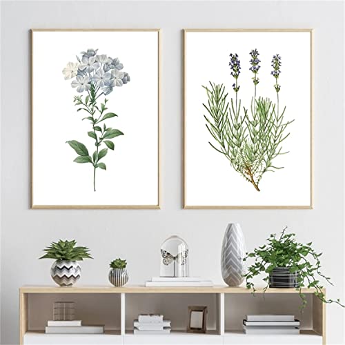 Sarah Duke 2er Premium Poster Set, Kunst-Vintage-Poster Druck Botanische grüne Pflanzen Blätter Blume Bilder Poster, Wandbilder Wohnzimmer Deko, Ohne Rahmen (40x50cm) von Sarah Duke