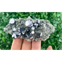 Amazing Galena | Tetraeder Auf Quarz Chlorit Aus Madan , Bulgarien Grauer Kristall Graues Mineral Stein Edelstein Natur N5436 von SarahCornerM