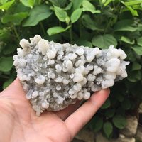 Atemberaubende Dolomiten Auf Quarz Aus Madan, Bulgarien, Naturkristallisch, Calcit Kristall, Mineral, Stein, N4797 von SarahCornerM
