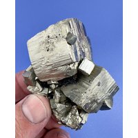 Glänzende Pyrit Große Würfel Von 9Th September Mine, Madan, Bulgarien, Gold Mineral, Natürlicher Kristall, Sammlung N9942 von SarahCornerM