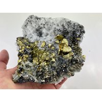 Goldener Chalkopyrit Auf Quarz Und Sphalerit Aus Der Drujba Mine, Laki, Bulgarien, Kristall, Goldkristall, Mineral, Sammlung, N5690 von SarahCornerM