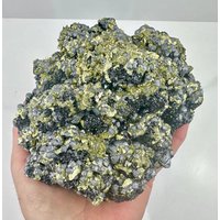 Großer Kristall Chalcopyrit, Pyrit, Sphalerit Und Galenit Epitaxie - Borieva Mine, Madan, Bulgarien, Natural Mineral, Collection N0403 von SarahCornerM