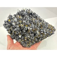 Irisierender Chalkopyrit, Sphalerit, Galena Und Quarz Aus Der Borieva Mine, Madan, Bulgarien, Großer Kristall, Natürliches Mineral, Sammlung N0545 von SarahCornerM