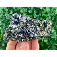 Lustrous Galena Auf Quarz Und Chlorit Sphalerit Aus Madan , Bulgarien Naturkristall Lüster Mineral Seltene N5703 von SarahCornerM