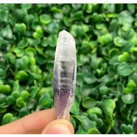 Spektakulärer Amethyst Phantom Mineral Spike Aus Bulgarien , Lila Kristall Natur Stein Edelstein Sammlung N7355 von SarahCornerM