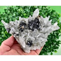 Top Quarz Mit Sphalerit Und Pyrit Aus Madan , Bulgarien Seltenes Morphophagie Natürliches Kristall Lüster Mineral Selten Cluster N5813 von SarahCornerM